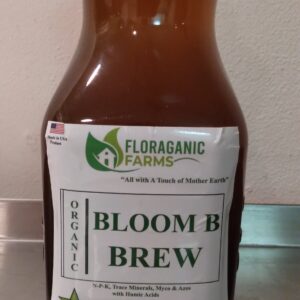 Bloom B Brew
